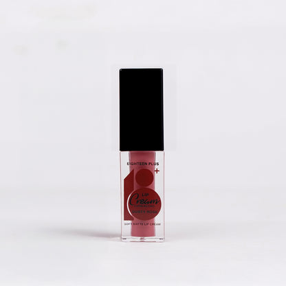 18+ Lip Matte 6ml Dusty Rose